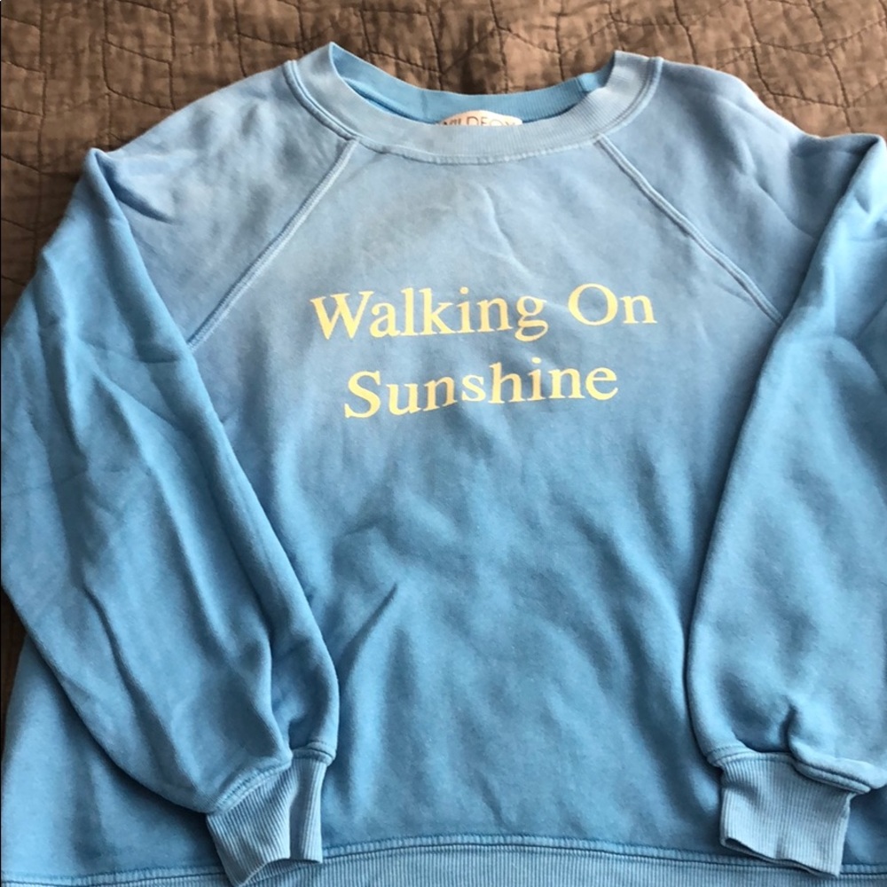 Wildfox sweatshirt. Xs